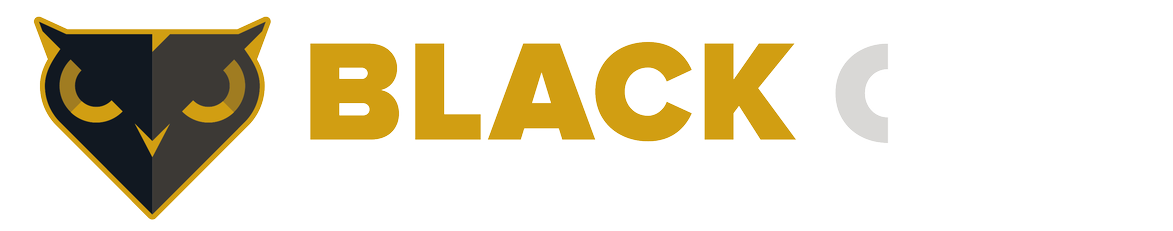Black Owl Systems logo